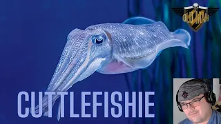 True Facts About The CuttleFish by Ze Frank - Reaction