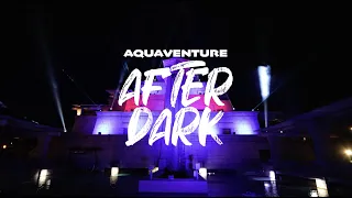 Aquaventure After Dark | 27 August 2022 | Official Aftermovie