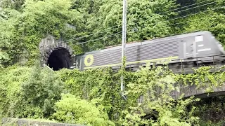 Questo MEGA TRENO PODEROSO in entrata nella GALLERIA VECCHIA DI 142 ANNI