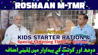 Kids Starter Ration & Special Fattening TMR For Qurbani