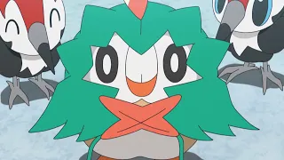 Rowlet in Training | Pokémon the Series: Sun & Moon—Ultra Legends | Official Clip