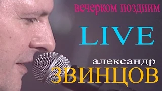 Александр Звинцов - Вечерком поздним (Live)