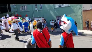 CARNAVAL PEÑON DE LOS BAÑOS 2022 BARRIO DEL CARMEN