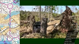 Orienteering training, Sweden, Älgsjön Finland, long, 2024-05-03 | Headcam orienteering