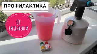 Насекомым тут не место! В лесу хорошо😍Разговоры о разном 🙂