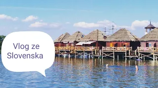 Vlog ze Slovenska - Malé Karpaty (Senec, Modra, Svatý Jur, Děvín)