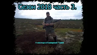 4 месяца в тайге. Сезон 2018 часть 3. ЯМАЛ. Рыба, охота. Шок операция на пальце ))) BUSHCRAFT