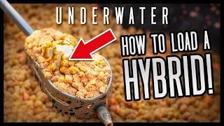 How to load a HYBRID FEEDER like a WORLD CHAMPION
