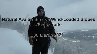 Natural Avalanches on Wind Loaded Slopes: Taylor Fork - 30 March 2021