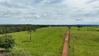 FAZENDA DE CULTURA NA TERRA ROXA, ESSA É BOA!62 98457-1173