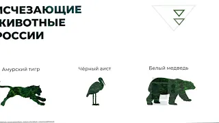 Эффект приближения в Power Point (Slide Zoom)