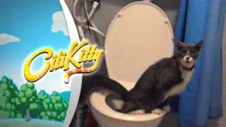 CitiKitty Cat Toilet Training Kit - Amazing!
