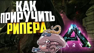 КАК ПРИРУЧИТЬ РИПЕРА/ЖНЕЦА? (ЧУЖОГО) — ПОЛНЫЙ ГАЙД!/REAPER TAMING ARK: Aberration