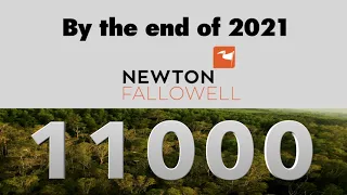 Planting 11000 Trees