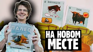 ПАЛЕО: НОВОЕ НАЧАЛО ⭐🚢⭐ Корабль причалил! Дабакка собирает шкуры! Как нарисовать Мамонта? / Модуль О