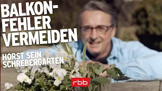 Balkone richtig bepflanzen - so vermeidet ihr die 10 größten Fehler | Horst sein Schrebergarten