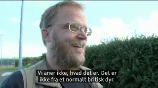 Danish cryptozoology documentary