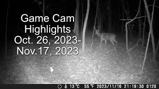 Game Cam Highlights Oct 26 Nov 17, 2023