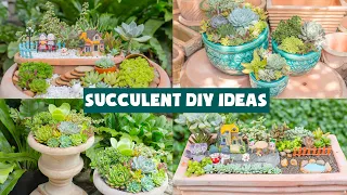 7 Succulent DIY Ideas| Tổng hợp 7 ý tưởng trang trí sen đá| 多肉植物| 다육이들 | Suculentas