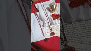 isha rudraksha diksha unboxing #ishafoundation #sadguru #rudraksha