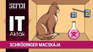 Mi a helyzet Schrödinger macskájával?