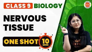 Nervous Tissue One Shot | Tissues Class 9| NCERT Class 9 Science Full Chapter 6 Explanation#Cbse2024