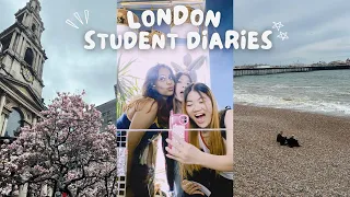 writing law finals | prep, routines and brighton trip!!