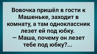 Вовочка Увидел Как Одноклассник Лезет Маше Под Юбку! Сборник Свежих Анекдотов! Юмор!