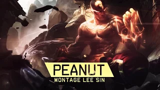 PEANUT Montage - The Lee Sin MSI 2017 - League Of Legends