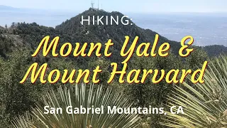 Hike #35N: Mt Yale & Mt Harvard, San Gabriel Mountains (Angeles NF), CA (Narrative Version)