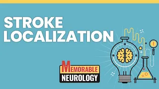 Stroke Localization Made Easy with Mnemonics! (Memorable Neurology Lecture 14)