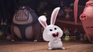 The Secret Life of Pets (2016) A Look Inside (Universal Pictures)