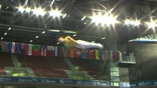 GAO Lei (CHN) -- 2013 Trampoline Worlds, Qualifications