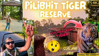 TIGER SIGHTING HO GYI PILIBHIT TIGER RESERVE MAIN 🤩 #yuvrajjimcorbett