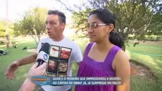 Vídeo de pedreiro cantor faz sucesso na internet