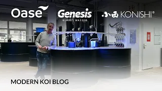 Modern Koi Blog #5741 - Das sollten Sie bei Stromausfall beachten