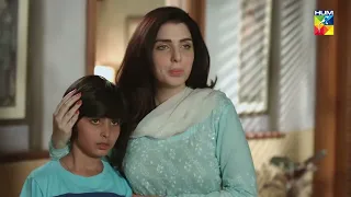 Ehsaan Ka Beta Us Se Door Ho Gya !! Woh Aik Pal - HUM TV