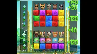 Pet Rescue Saga Level 4542 (original version)