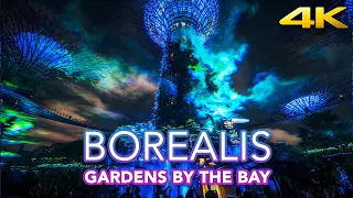 Borealis night experience at Gardens by the Bay | new light show