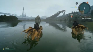 Final Fantasy XV - Chocobos (PS4 Pro/1080p)