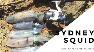 Sydney Squid on Yamashita Jigs
