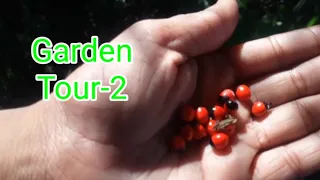 HERBAL GARDEN TOUR/GARDEN TOUR-2