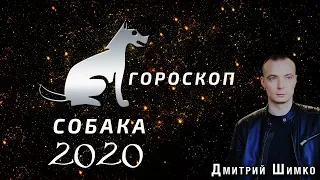 Гороскоп Собака -2020. Астротиполог, Нумеролог - Дмитрий Шимко