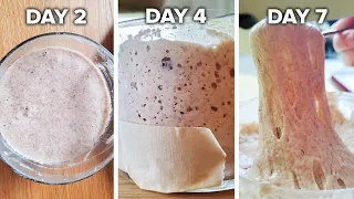 How To Make A Sourdough Starter From Scratch •  Tasty