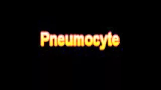 What Is The Definition Of Pneumocyte Medical School Terminology Dictionary