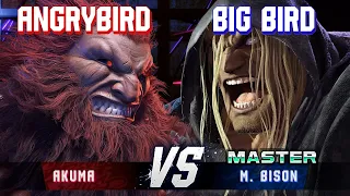 SF6 ▰ ANGRYBIRD (Akuma) vs BIG BIRD (M.Bison) ▰ High Level Gameplay