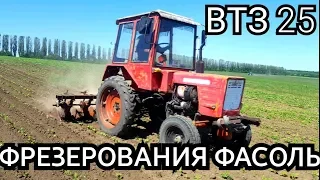 ТРАКТОР ВТЗ 25❎ФРЕЗЕРОВАНИЯ ФАСОЛЬ❎КУЛТИВАТОР ФРЕЗЕРНЫИ КФ 2-8