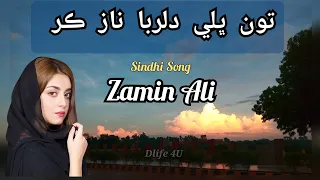 Tu Bhali Dilruba | Zamin Ali | Sindhi Song