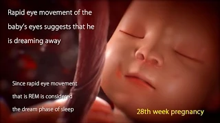 28 Weeks Pregnant: Watch Your Baby's Movement in 28 Week Pregnancy