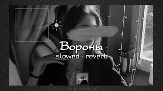 Вороны - Xcho | slowed - reverb | lyrics